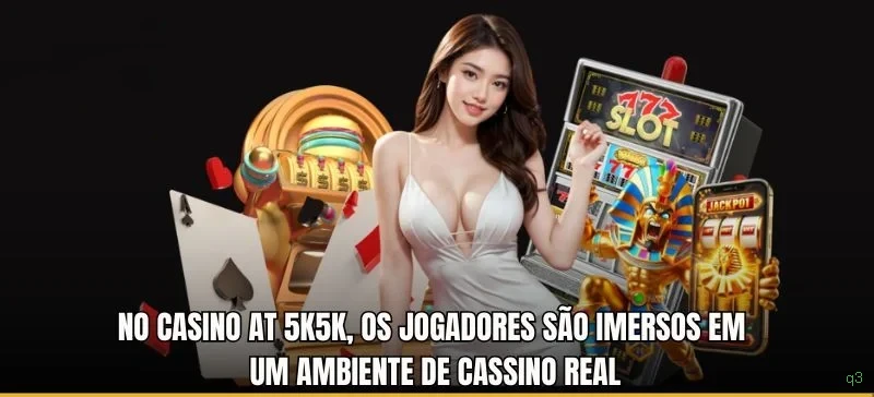 q3 Plataforma